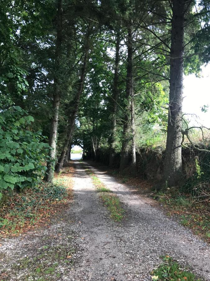 Parc Ar Brun Bihan Minihy-Tréguier Eksteriør bilde